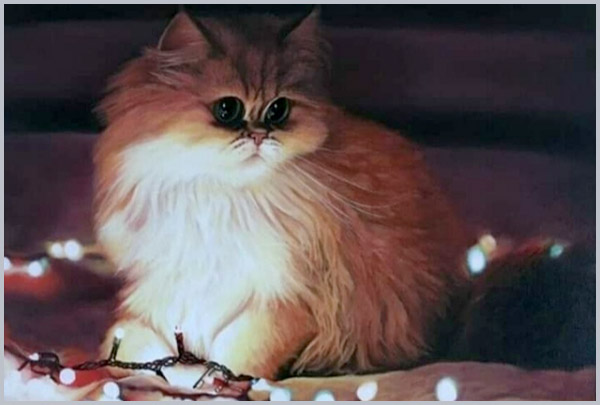 Emmy in Anticipation of the Holiday - portrait oil painting on canvas by Ukrainian artist Matish, 50x70cm